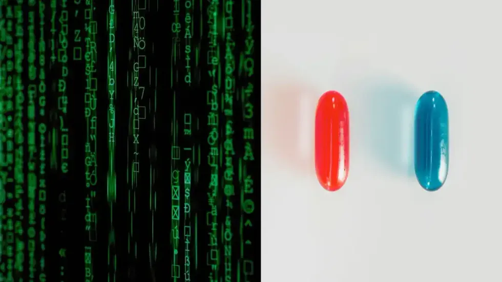 c2c7c04e 28ec 4f93 8269 db217b76fb6f