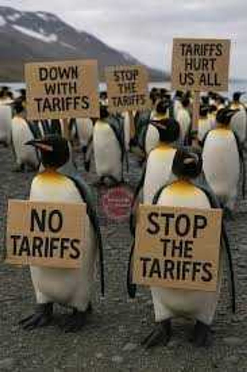 d99427fe e6e0 4f7e aa6a b5b34a93e1fc