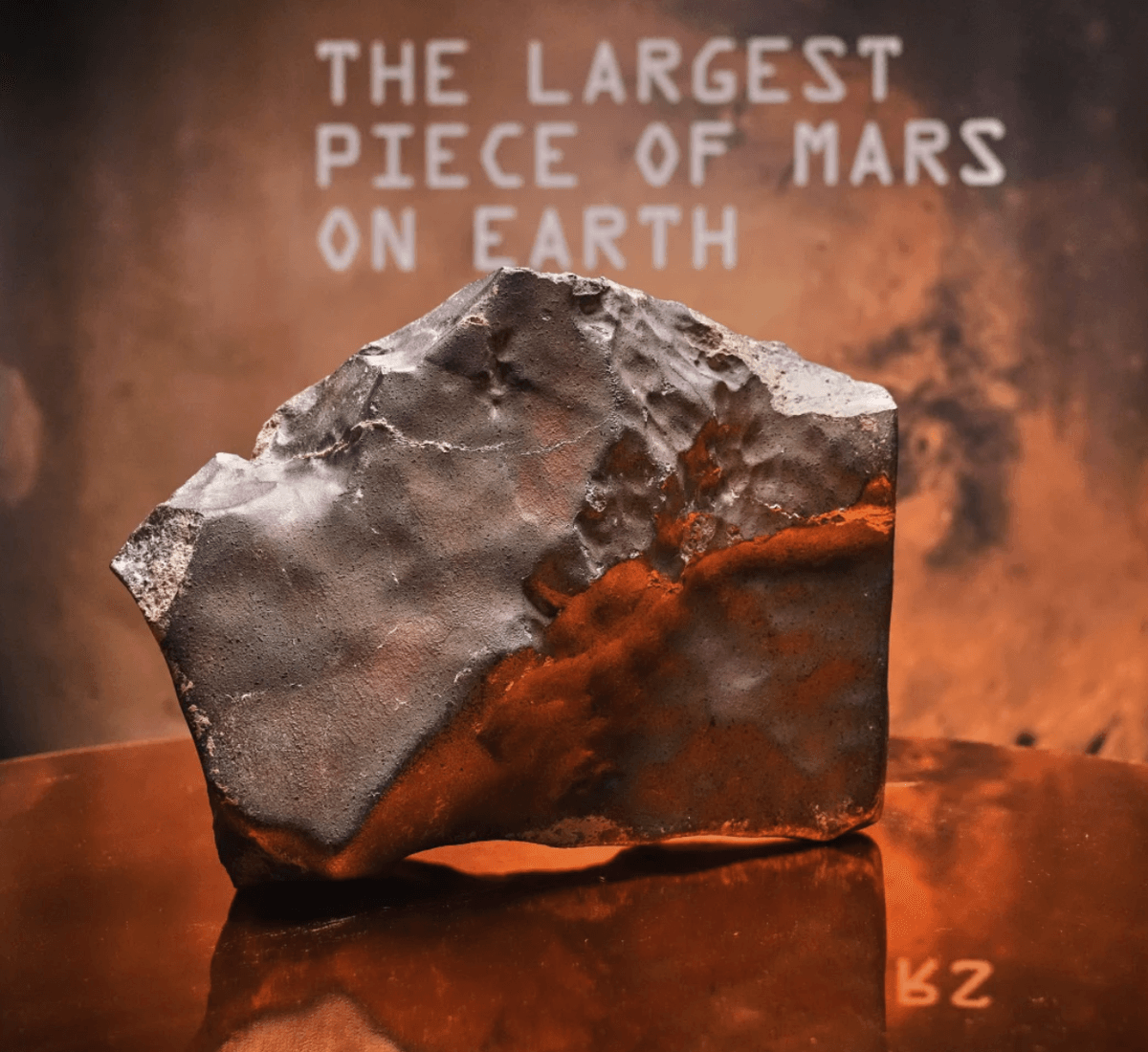 mtf.tv's mtf NOW: 💰🚀Buy Mars... ❤️🤖Humans date bots... SpaceX invests in GROK...