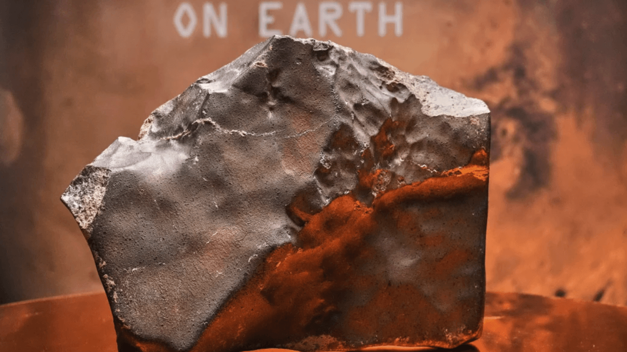 mtf.tv's mtf NOW: 💰🚀Buy Mars... ❤️🤖Humans date bots... SpaceX invests in GROK...