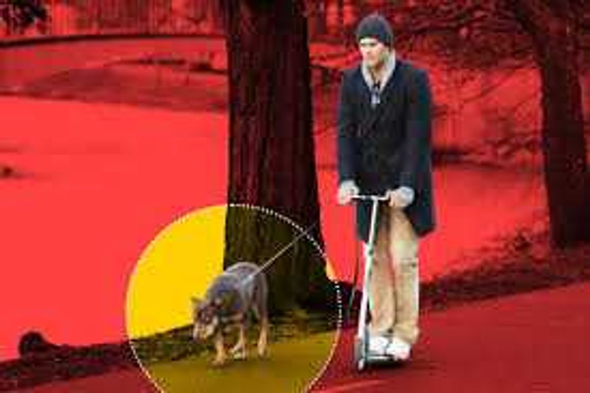 mtf.tv's mtf NOW: 🐾 Tom Brady clones is dog... 🚀 Isaacman re-nom'd!... Espionage future...