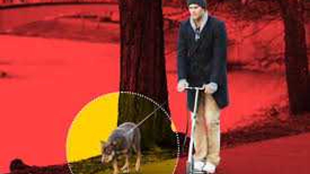 mtf.tv's mtf NOW: 🐾 Tom Brady clones is dog... 🚀 Isaacman re-nom'd!... Espionage future...