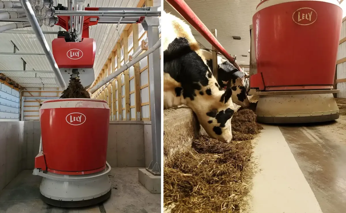 mtf.tv's mtf NOW: Robots milk cows... Liberation Eve...