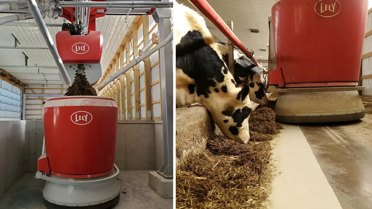 mtf.tv's mtf NOW: Robots milk cows... Liberation Eve...