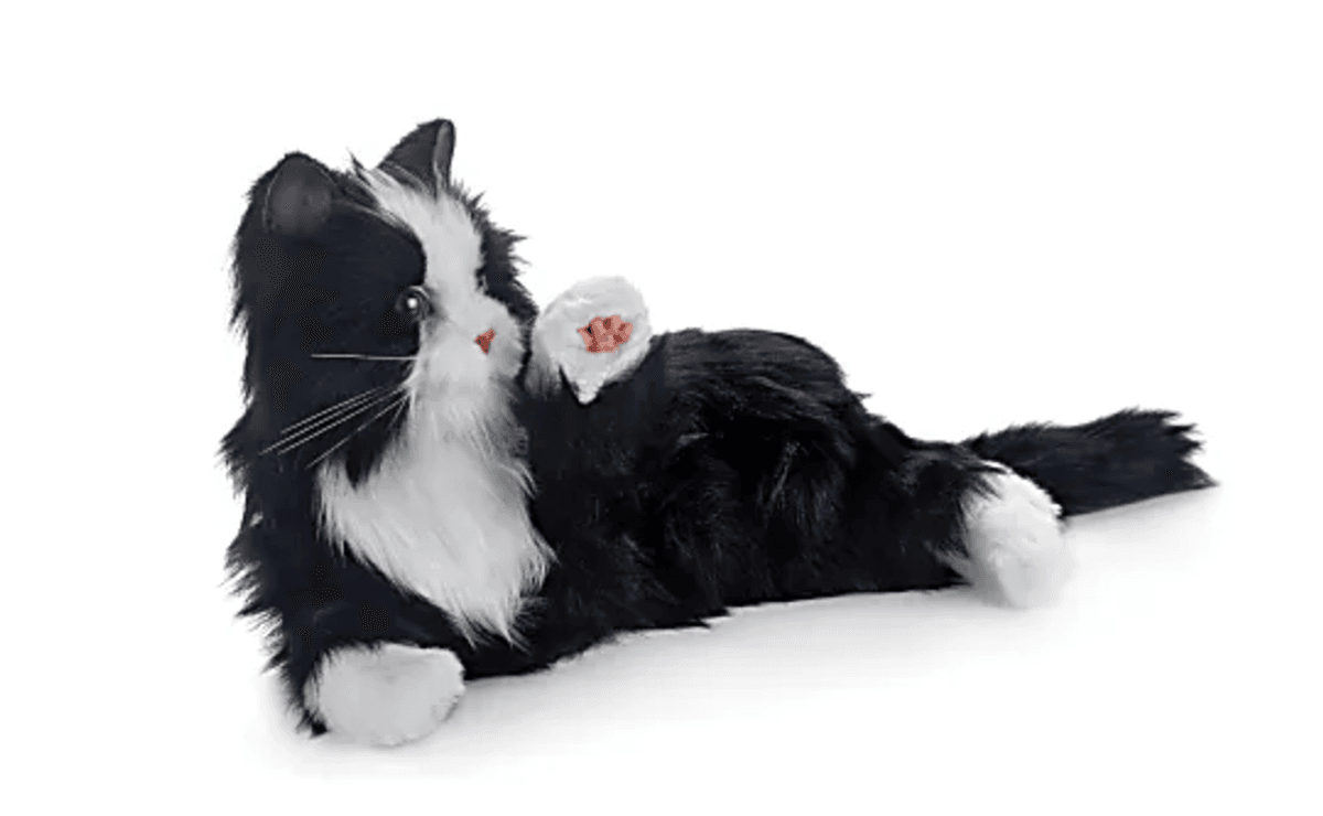 mtf.tv's mtf NOW: Nvidia <3 OpenAI... 🚀 Wormholes exist?!... Cut the deficit: Mine the mini-moon!