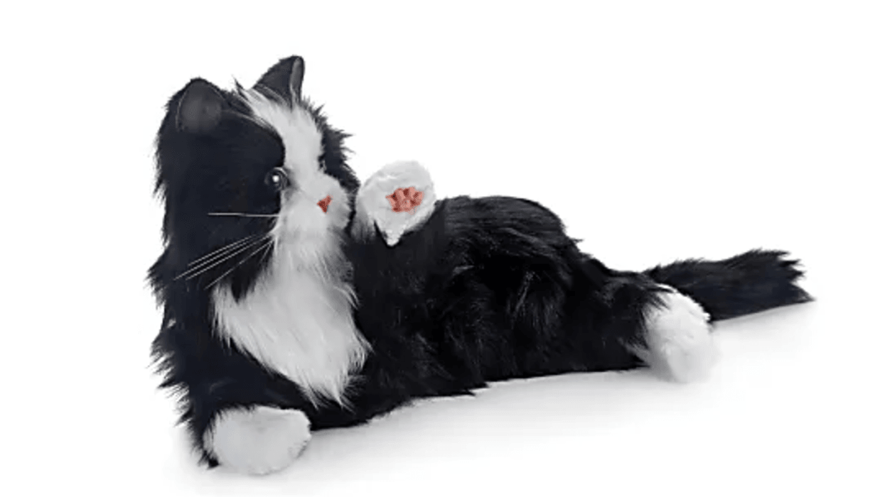 mtf.tv's mtf NOW: Nvidia <3 OpenAI... 🚀 Wormholes exist?!... Cut the deficit: Mine the mini-moon!